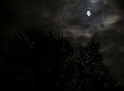 moon.jpg