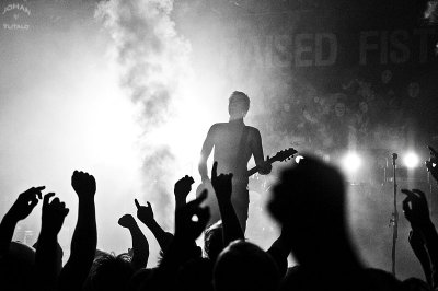 raised_fist_2010