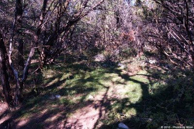 Barton Creek Greenbelt - 0680.jpg