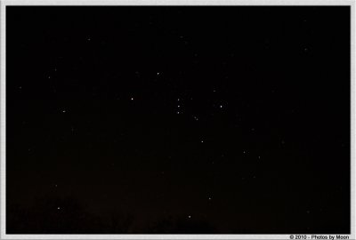 January 1st, 2011 - Orion on New Years - 1188.jpg