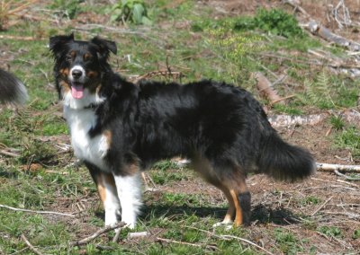 IMG_4304 Kopie.jpg