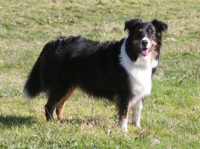 IMG_9770 Kopie.jpg