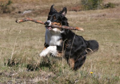 IMG_9778 Kopie.jpg