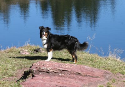 IMG_9851 Kopie.jpg