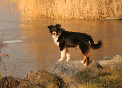 IMG_0130 Kopie.jpg