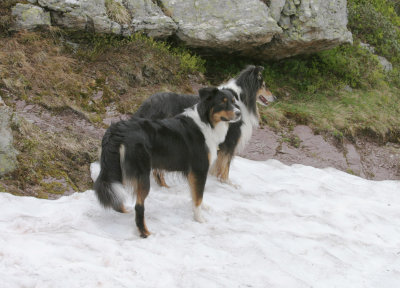 IMG_1921 Kopie.jpg