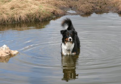 IMG_1937 Kopie.jpg
