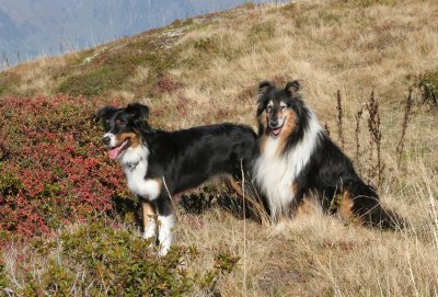 IMG_6203 Kopie.jpg