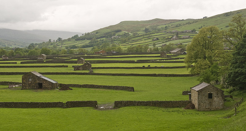 Stone Walls And Barns