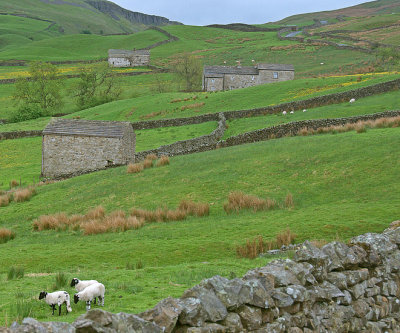 The Yorkshire Dales Somewhere Between Muker And Askrigg