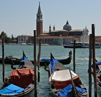 Gondolas On The Grand Canal