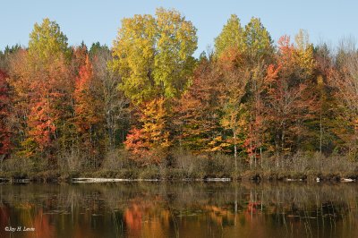 Some Photographs Taken At The Gerlach Fall Color Workshop In The Michigan Upper Peninsula