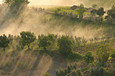 Farmhouse and Fog at 6:56 A.M.