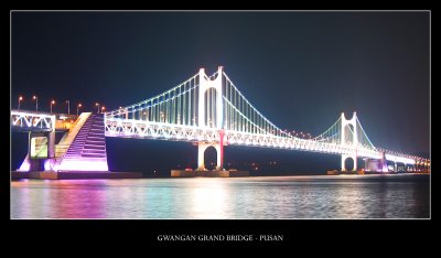 IMG_3593