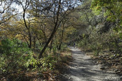 Morning Trail