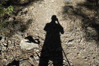 Long Shadow