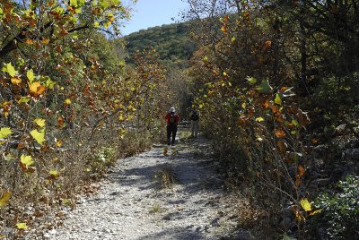 Typical Trail
