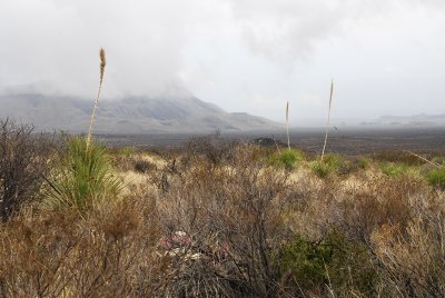 Big Bend 2