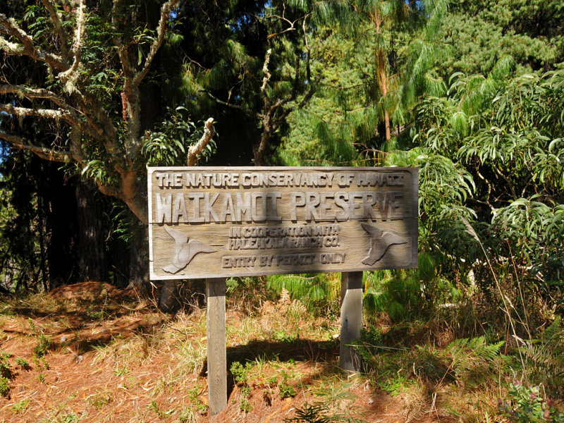 Waikamoi Sign