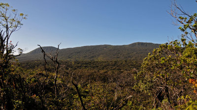 Mauga Cabin View
