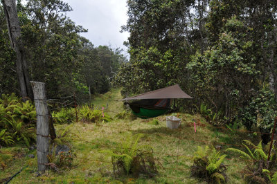 Kona Unit, Hakalau Forest NWR
