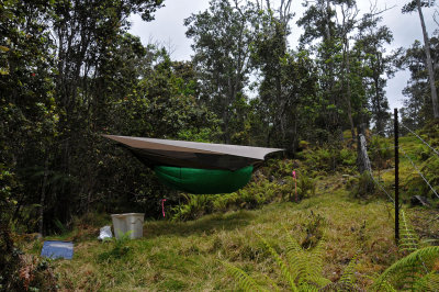 Kona Unit, Hakalau Forest NWR