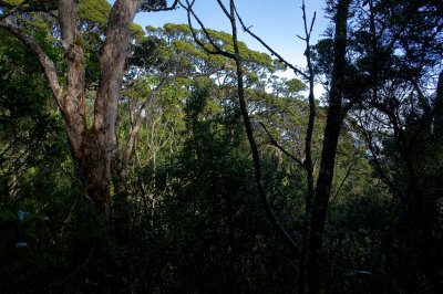 DSC00934_1280rs.jpg