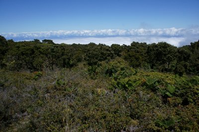 6400 ft Contour Trail