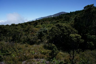 6400 ft Contour Trail