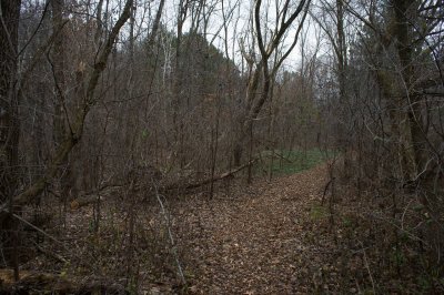 Holmberg Trails