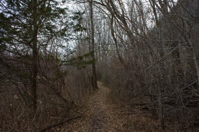 Holmberg Trails