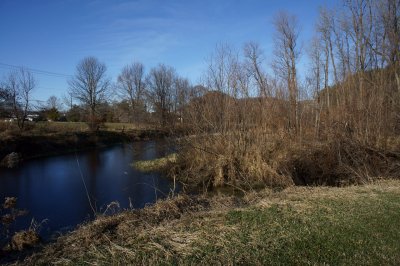 Drainage Ditch and Tangles