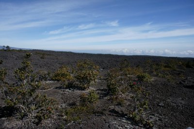 The 1942 Lava Flow