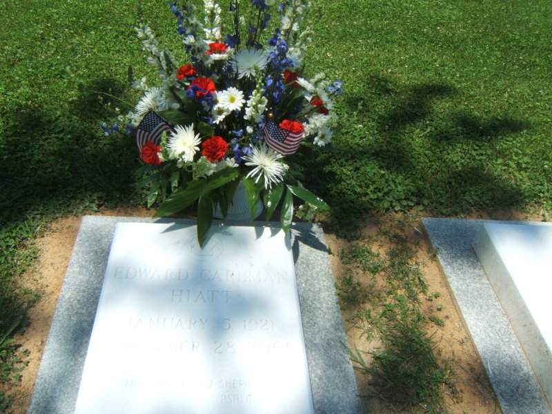    FLOWERS FOR VETERANS DAY 