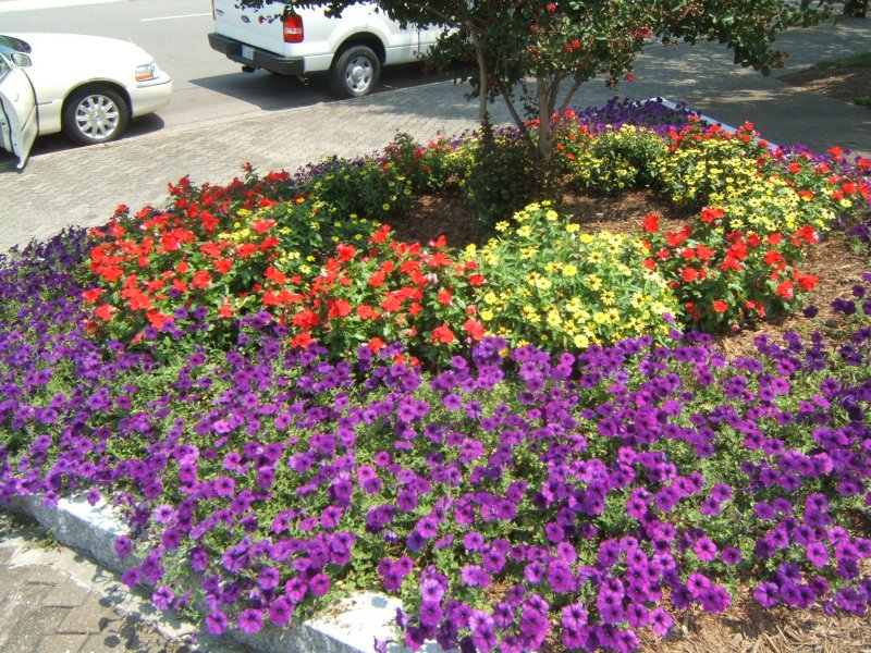 Veterans love and honor in flowers
