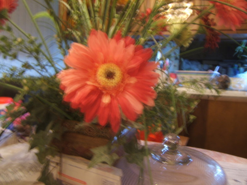 DR flowers
