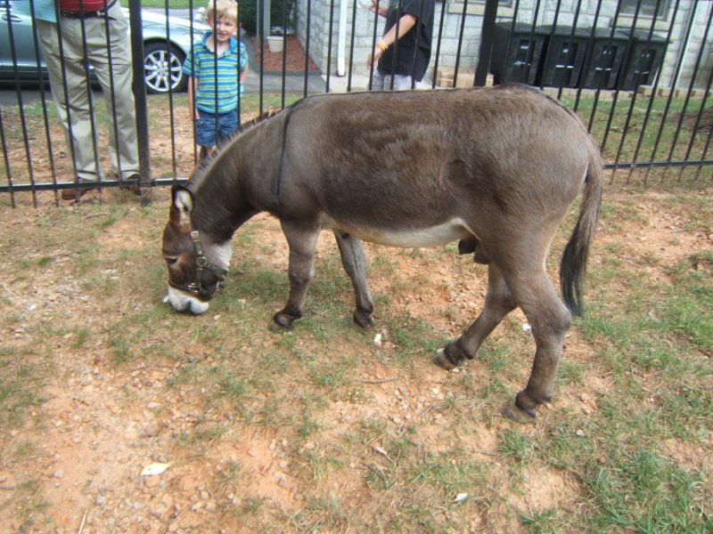 DSCF0771.JPG