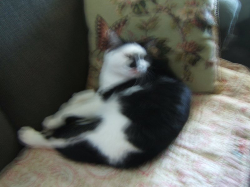 DSCF0796.JPG