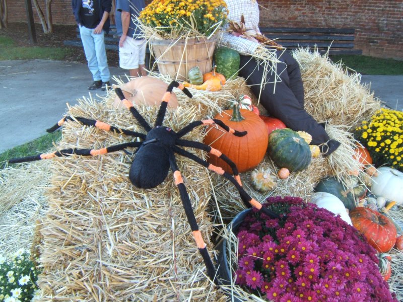 DSCF0866.JPG