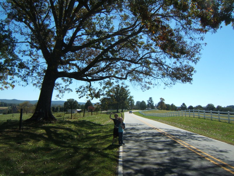 THE ROAD SIDE