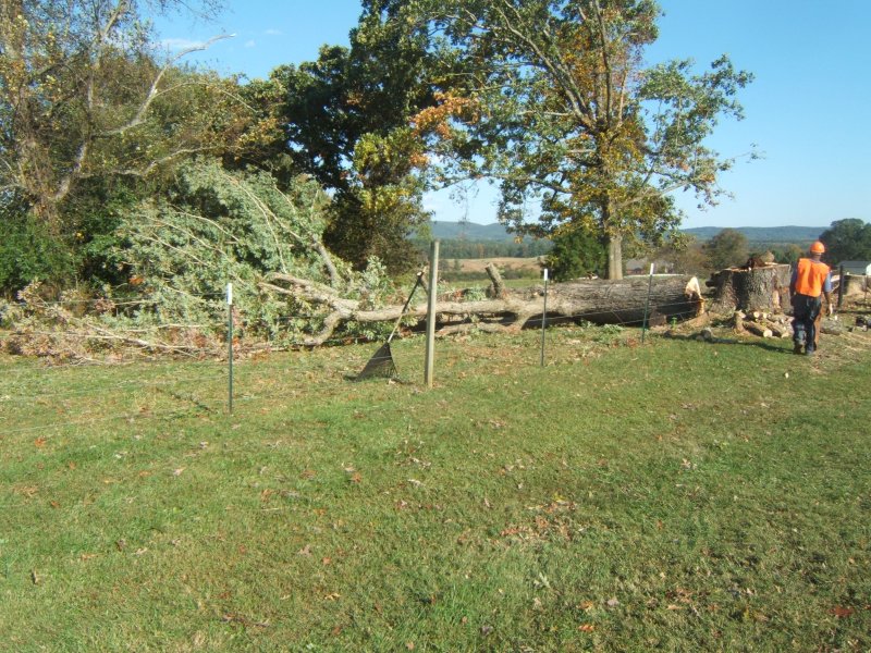 DSCF0936.JPG