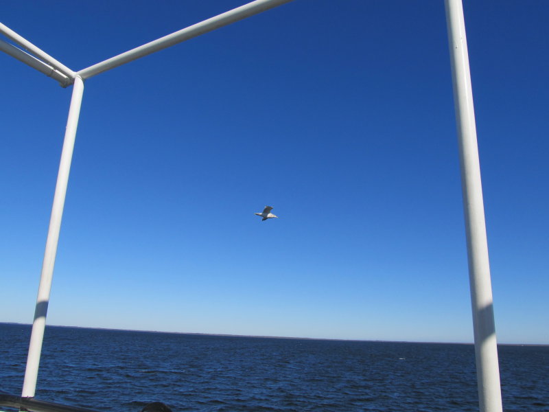 SOUND OF PAMLICO