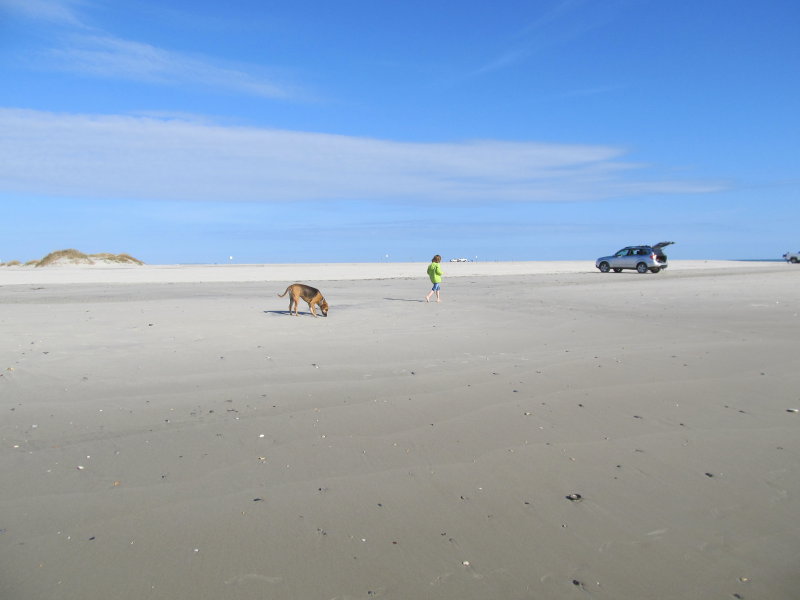 VASTNESS
