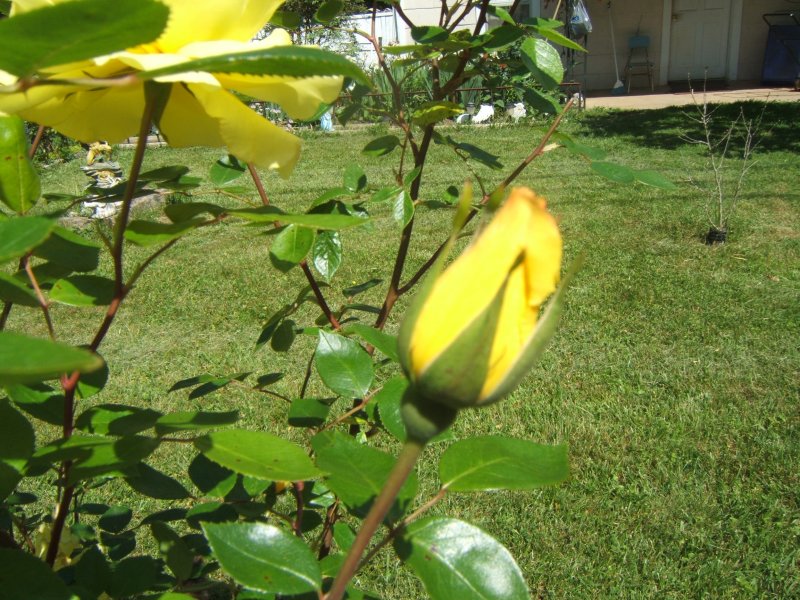 DSCF0189.JPG