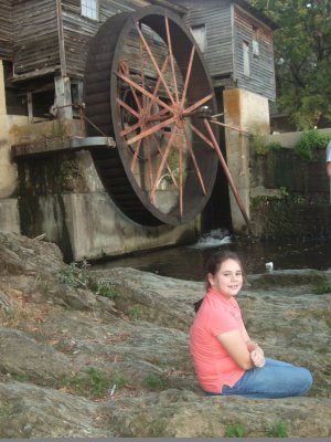 Shelby and the wheel