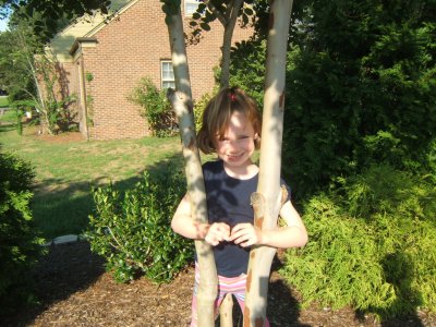 SWEET TREE HUGGER