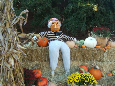 scarecrows_and_friends