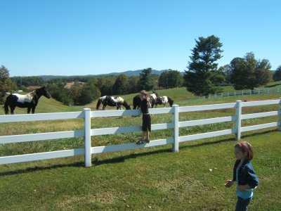  H AND A  SEEING THE COUNTRY