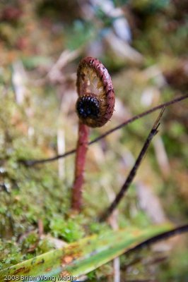 MSClimb2008-1580.jpg