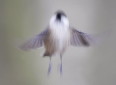 g1/06/726506/3/110152883.H6jGplkh.jpg